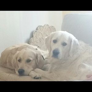 Meet your Posher, Linda